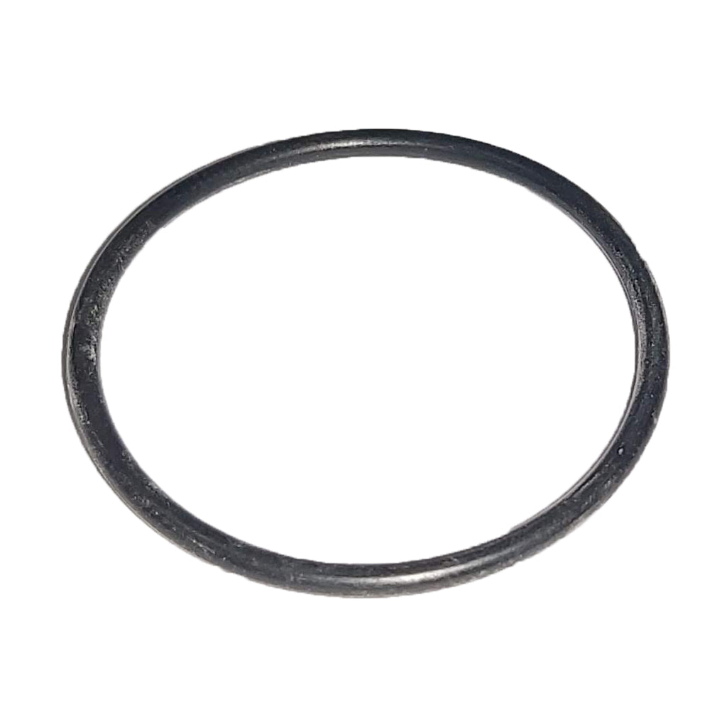 ORING CARBURADOR JOYG 025 JUEGO X 10 UND