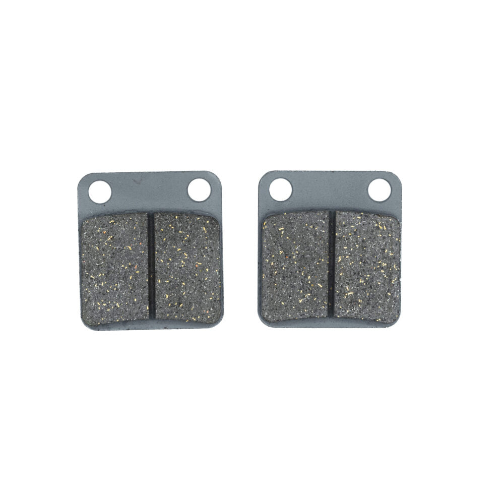 PAST FREN DEL AK100S/200SM/DR200-250/ TRAS KLX150/AK235R