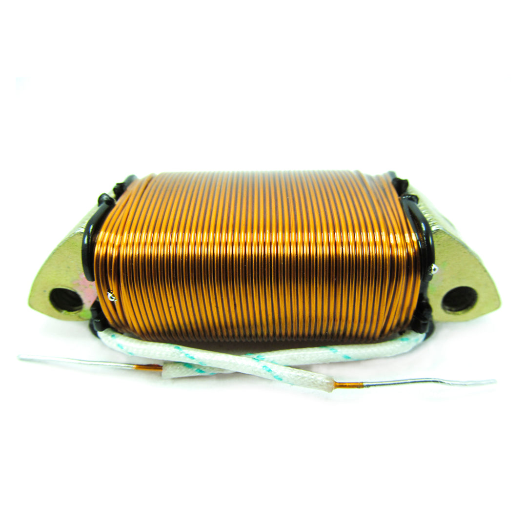 BOB.CARGA AX-100 L/FR-80 12V –  BIFÁSICA
