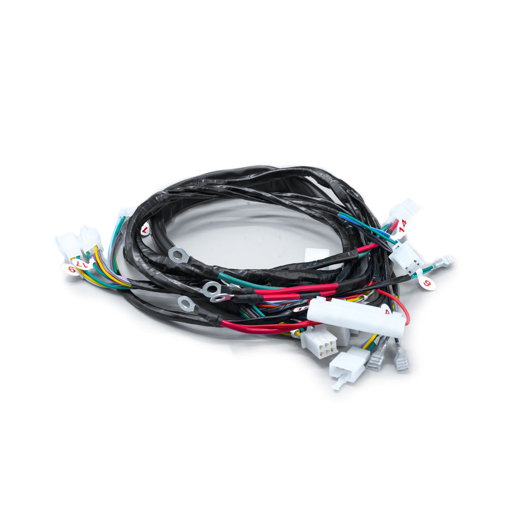 RAMAL ELECTRICO AKT 110 SPECIAL REGULADOR ADELANTE 2009