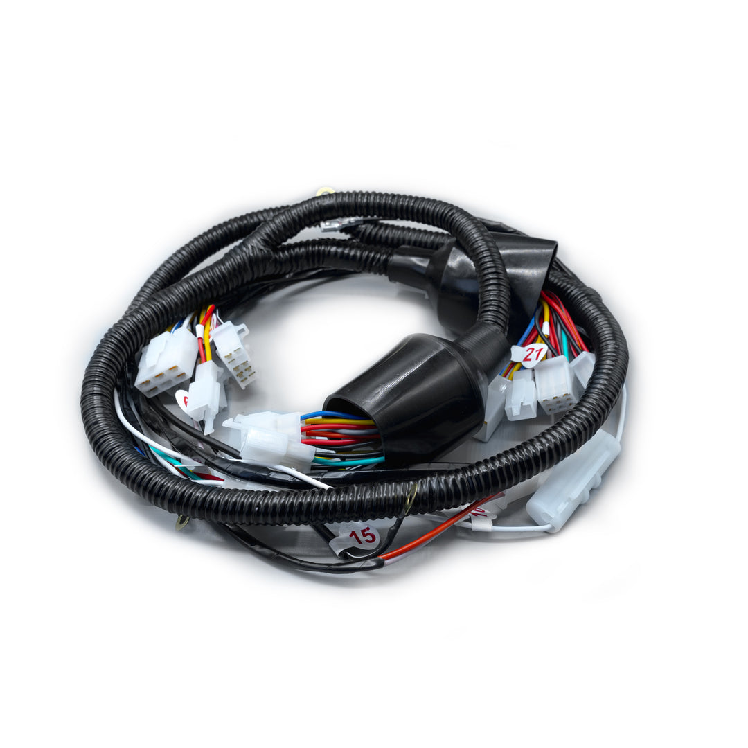 RAMAL ELECTRICO DISCOVER 100 SPORT