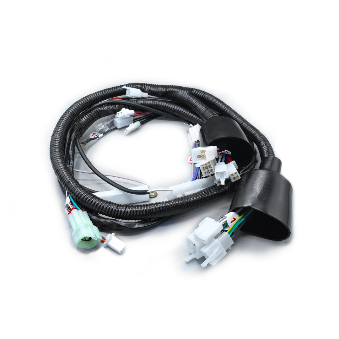 RAMAL ELECTRICO DISCOVER 100 + 2014-2017