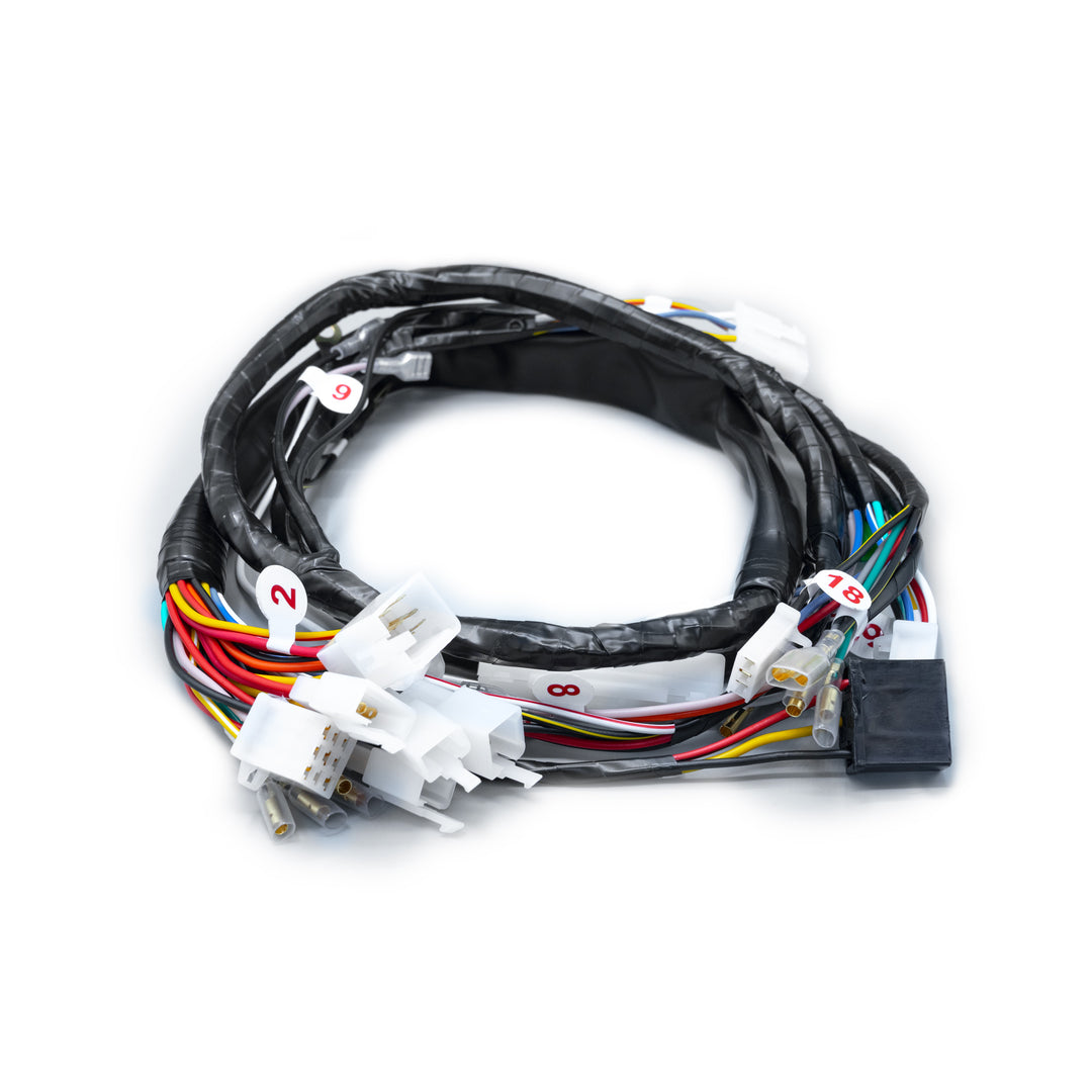 RAMAL ELECTRICO PLATINO 100 2008-2010