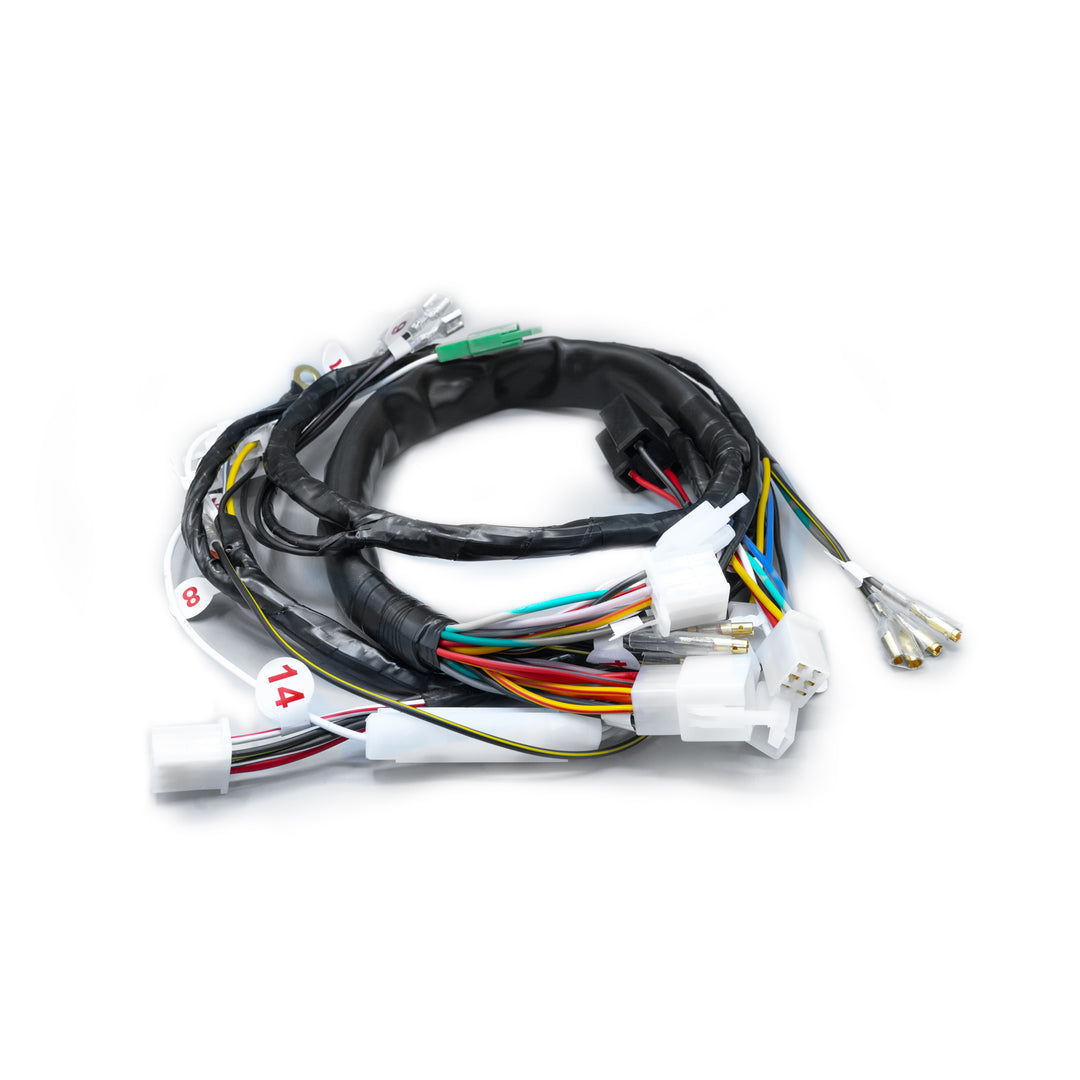 RAMAL ELECTRICO BOXER CT 2020 CON LUZ DIRECTA