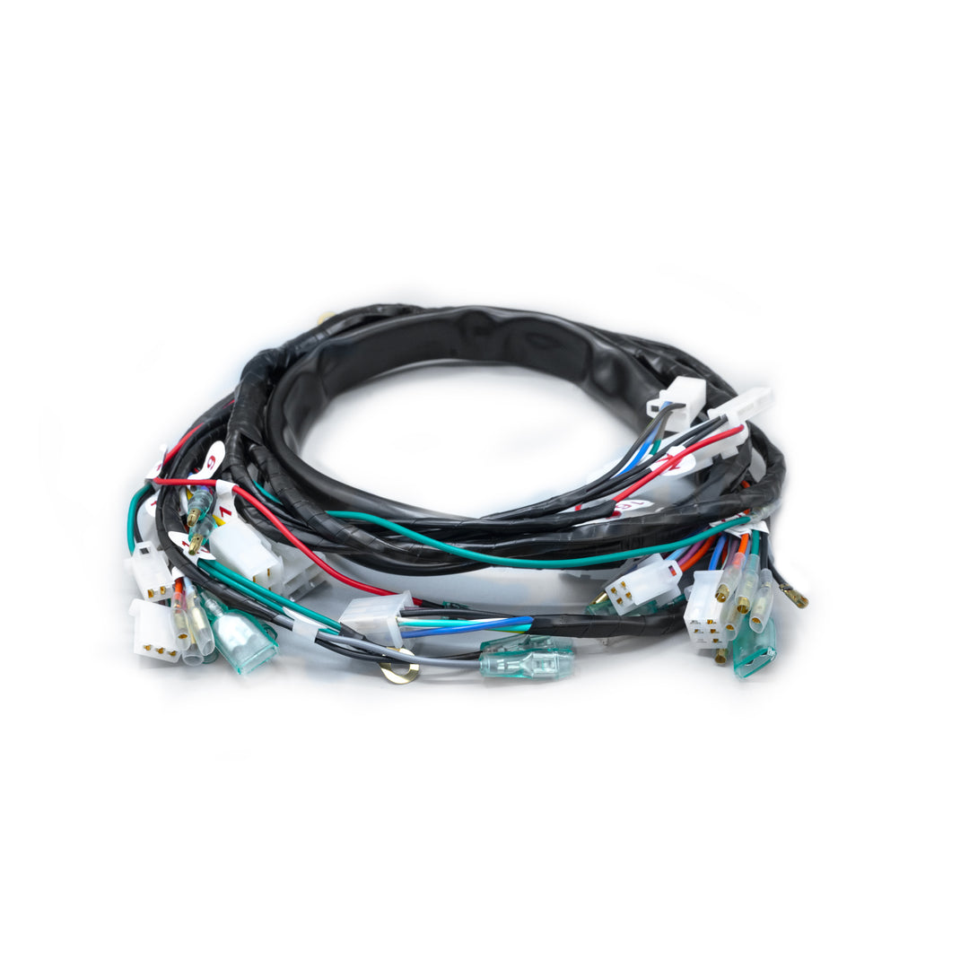 RAMAL ELECTRICO ECO 100 + 2007