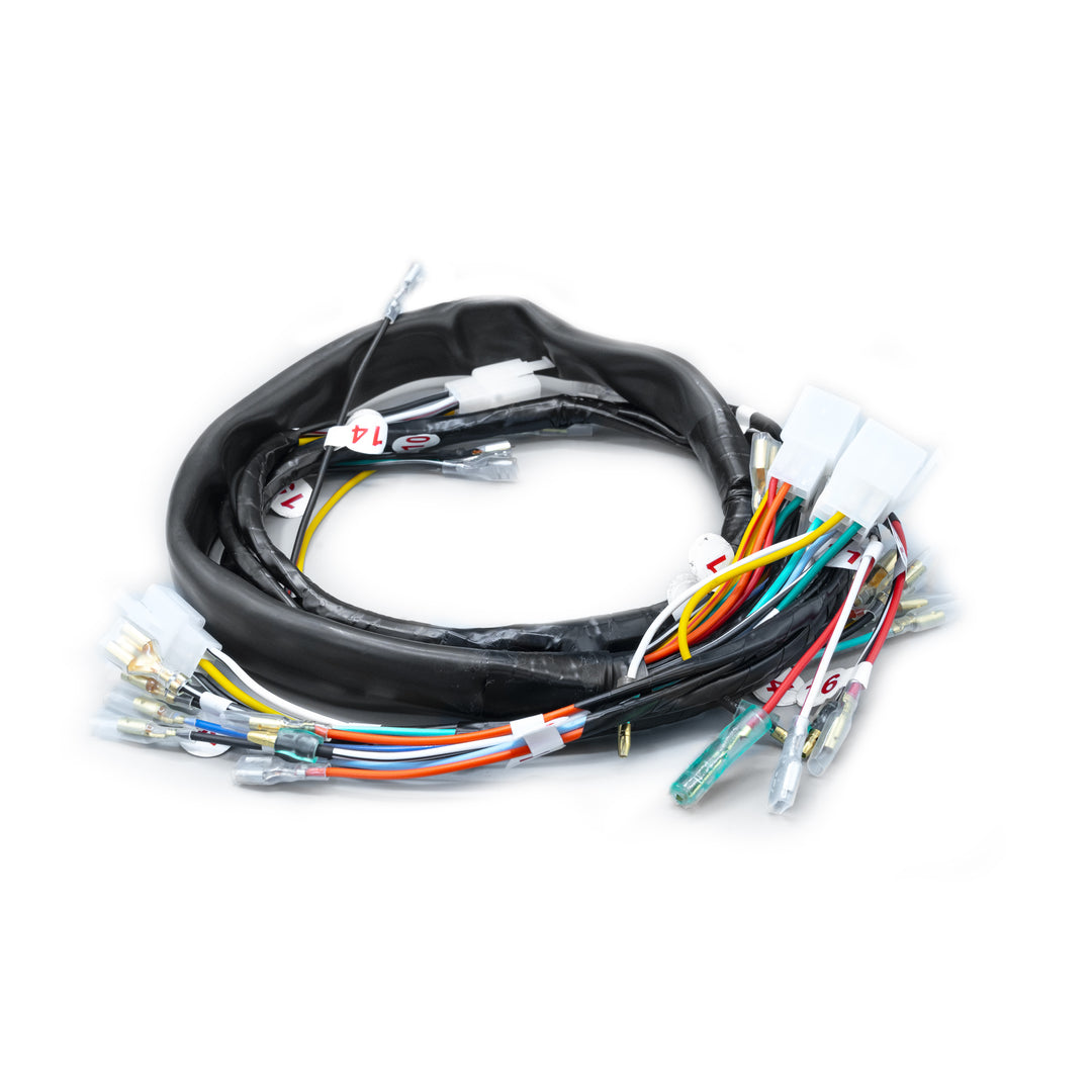 RAMAL ELECTRICO AX 115 1995-1998