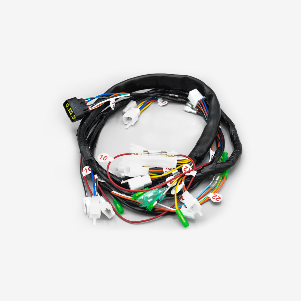 RAMAL ELECTRICO GN 125 2011