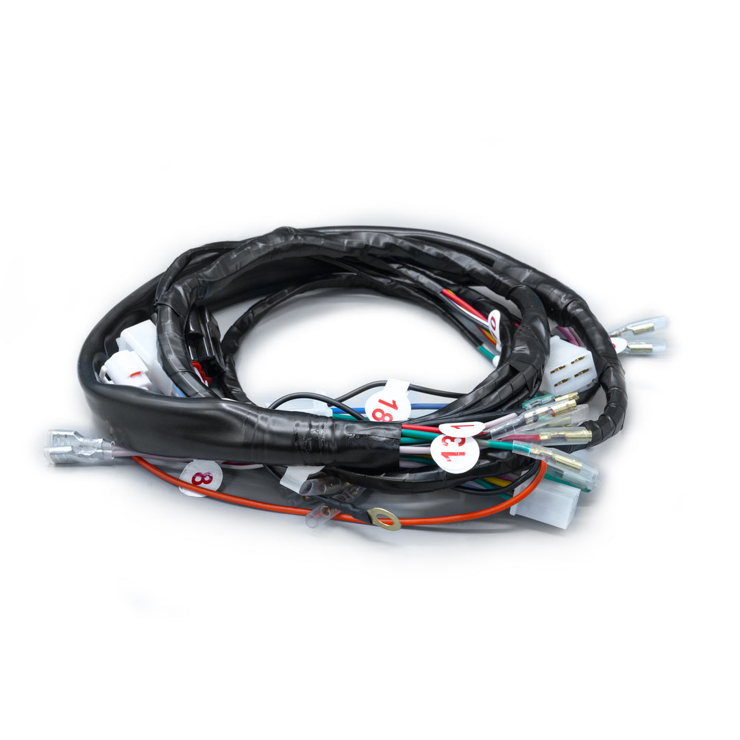 RAMAL ELECTRICO LIBERO 110