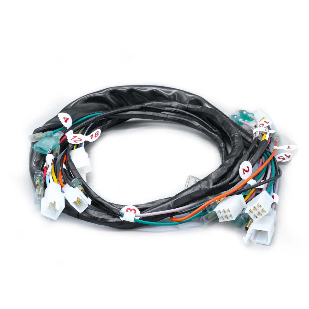 RAMAL ELECTRICO RX 100 CLÁSICA O MN 2005-2006